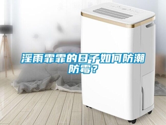常見問題淫雨霏霏的日子如何防潮防霉？