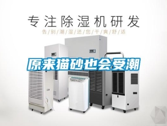 知識百科原來貓砂也會受潮