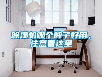 行業(yè)新聞除濕機哪個牌子好用，注意看這里