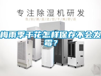 常見問題梅雨季干花怎樣保存不會發霉？