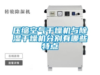 行業新聞壓縮空氣干燥機與除濕干燥機分別有哪些特點
