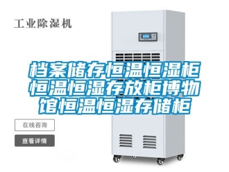 知識百科檔案儲存恒溫恒濕柜恒溫恒濕存放柜博物館恒溫恒濕存儲柜