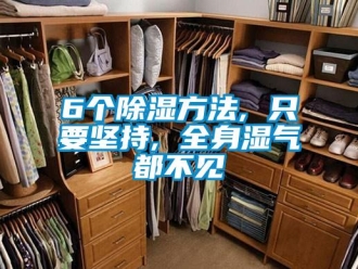 企業(yè)新聞6個(gè)除濕方法, 只要堅(jiān)持, 全身濕氣都不見
