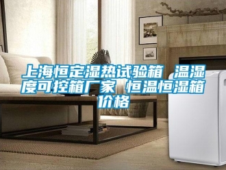 知識百科上海恒定濕熱試驗箱 溫濕度可控箱廠家 恒溫恒濕箱價格