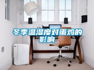 企業(yè)新聞冬季溫濕度對(duì)蛋雞的影響