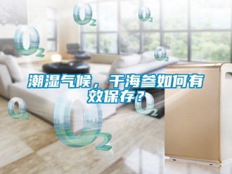 常見問題潮濕氣候，干海參如何有效保存？