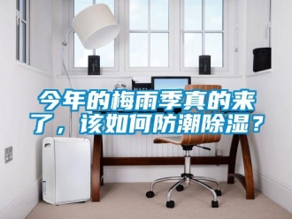 常見問題今年的梅雨季真的來了，該如何防潮除濕？