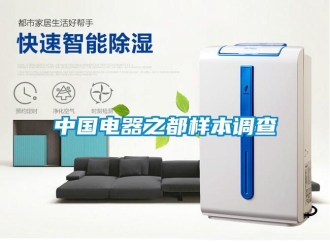 知識(shí)百科中國電器之都樣本調(diào)查