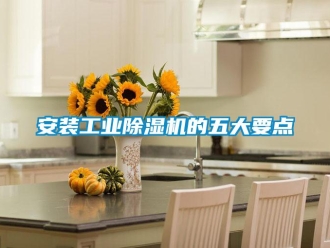 常見問題安裝工業除濕機的五大要點