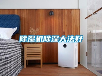 企業新聞除濕機除濕大法好