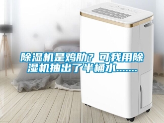 行業(yè)新聞除濕機(jī)是雞肋？可我用除濕機(jī)抽出了半桶水.......