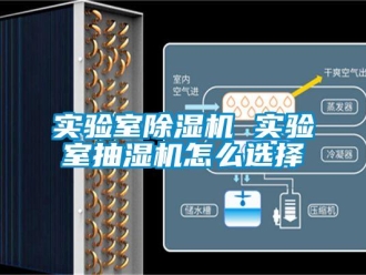 常見問題實(shí)驗(yàn)室除濕機(jī) 實(shí)驗(yàn)室抽濕機(jī)怎么選擇