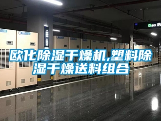 行業(yè)新聞歐化除濕干燥機(jī),塑料除濕干燥送料組合