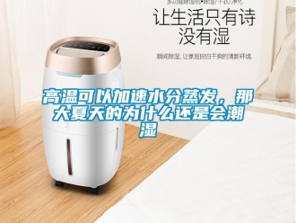 企業新聞高溫可以加速水分蒸發，那大夏天的為什么還是會潮濕