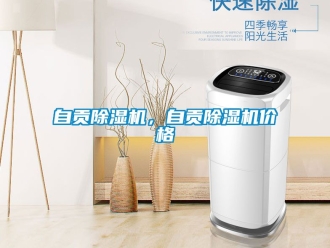 企業新聞自貢除濕機，自貢除濕機價格