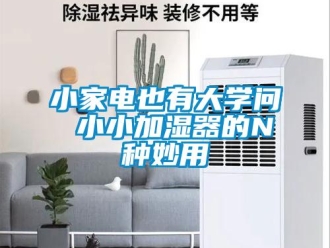 知識(shí)百科小家電也有大學(xué)問(wèn) 小小加濕器的N種妙用