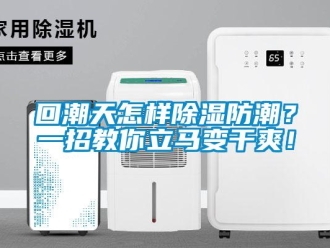 常見問題回潮天怎樣除濕防潮？一招教你立馬變干爽！