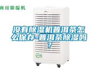 行業新聞沒有除濕機普洱茶怎么保存-普洱茶除濕嗎？