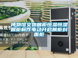 知識(shí)百科博物館文物展柜恒溫恒濕展柜制作電動(dòng)開啟展柜斜面柜