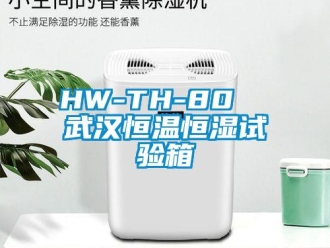常見問題HW-TH-80  武漢恒溫恒濕試驗箱