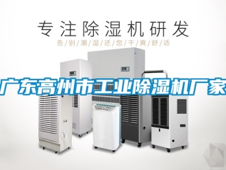 企業新聞廣東高州市工業除濕機廠家