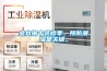 金九銀十裝修季，預防潮濕是關鍵。