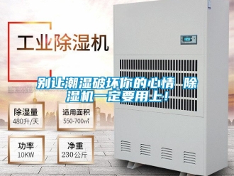 常見問題別讓潮濕破壞你的心情 除濕機一定要用上！