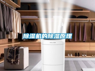 企業新聞除濕機的除濕原理