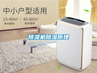 企業新聞除濕機除濕原理