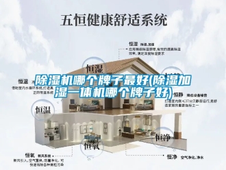 行業(yè)新聞除濕機哪個牌子最好(除濕加濕一體機哪個牌子好)