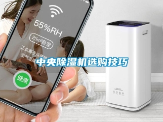 知識百科中央除濕機選購技巧