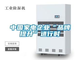 知識(shí)百科中國家電企業(yè)“品牌提升”進(jìn)行時(shí)