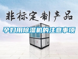行業(yè)新聞孕婦用除濕機的注意事項