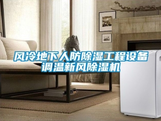 常見問題風冷地下人防除濕工程設備調溫新風除濕機