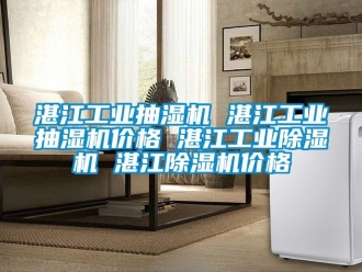 常見問題湛江工業(yè)抽濕機(jī) 湛江工業(yè)抽濕機(jī)價(jià)格 湛江工業(yè)除濕機(jī) 湛江除濕機(jī)價(jià)格