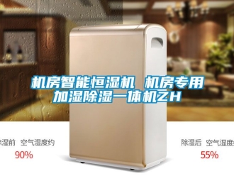 知識百科機房智能恒濕機 機房專用加濕除濕一體機ZH