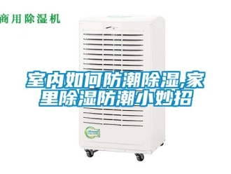 常見問題室內(nèi)如何防潮除濕,家里除濕防潮小妙招