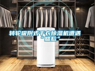 知識百科轉輪吸附式干衣除濕機遭遇“尷尬”