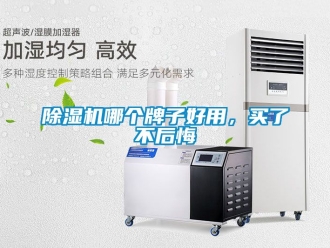 行業(yè)新聞除濕機哪個牌子好用，買了不后悔