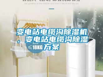 常見問題變電站電纜溝除濕機(jī)，變電站電纜溝除濕方案