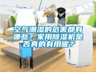常見問題空氣潮濕的危害都有哪些？家用除濕機是否真的有用呢？