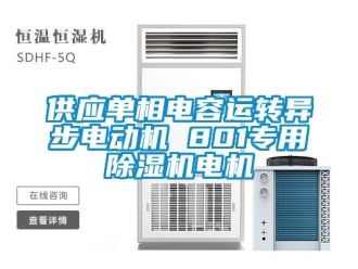 行業(yè)新聞供應(yīng)單相電容運(yùn)轉(zhuǎn)異步電動機(jī) 801專用除濕機(jī)電機(jī)