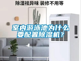 知識百科室內游泳池為什么要配置除濕機？