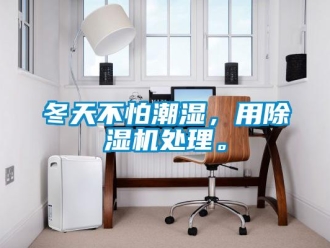 企業(yè)新聞冬天不怕潮濕，用除濕機處理。