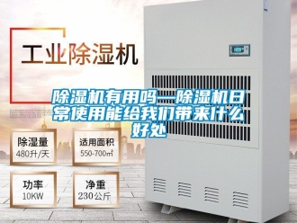 行業(yè)新聞除濕機有用嗎—除濕機日常使用能給我們帶來什么好處