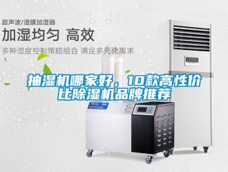 企業新聞抽濕機哪家好，10款高性價比除濕機品牌推薦