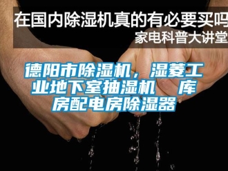 常見問題德陽市除濕機，濕菱工業地下室抽濕機  庫房配電房除濕器