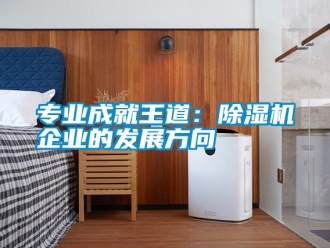 知識(shí)百科專業(yè)成就王道：除濕機(jī)企業(yè)的發(fā)展方向