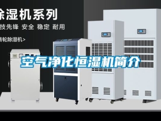 知識百科空氣凈化恒濕機簡介