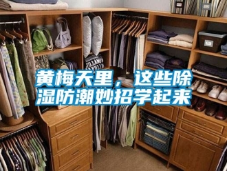 常見問題黃梅天里，這些除濕防潮妙招學(xué)起來(lái)